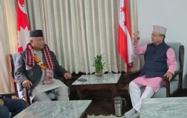 कांग्रेस संसदीय दलका नेता आङ्देम्बे र पूर्णबहादुर खड्काबीच भेटवार्ता