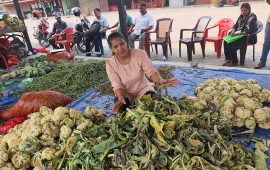 बुटवल कृषि थोक बजारको टेन्डर नखोल्दा किसानको तरकारी कुहिँदै