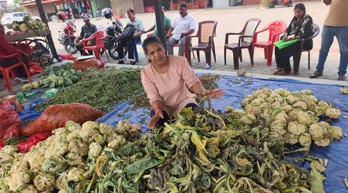 बुटवल कृषि थोक बजारको टेन्डर नखोल्दा किसानको तरकारी कुहिँदै