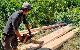 आराबाट चेन-ससम्म : परम्पराबाट प्रविधितर्फको फड्को