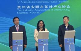 चीनमा नेपाली चियाको ब्रान्डिङ