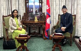 कम्पनी दर्ता र बन्द प्रक्रियालाई सहज बनाउन सभामुखको सुझाव