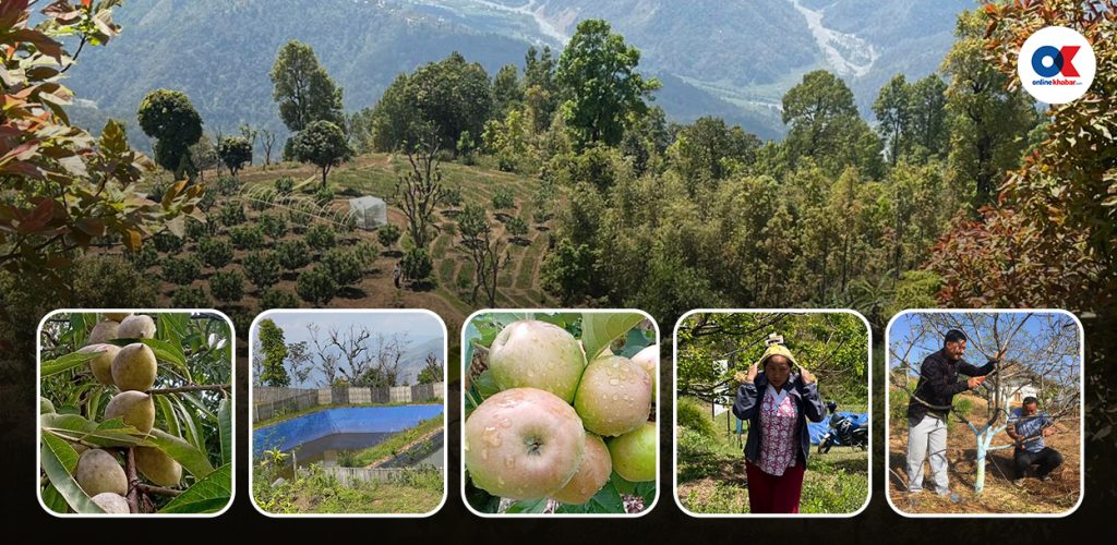 बन्दुकेडाँडामा फर्किएको ‘हरित क्रान्ति’