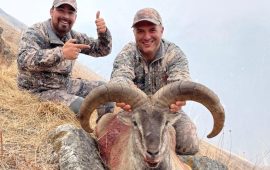 ढोरपाटनमा दोस्रो सिकार याम : १४ नाउर र १० झारलको सिकार चल्दै