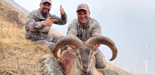 ढोरपाटनमा दोस्रो सिकार याम : १४ नाउर र १० झारलको सिकार चल्दै