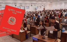 रातो पासपोर्ट प्रयोगमा सांसदहरूको ‘अतिरिक्त मोह’