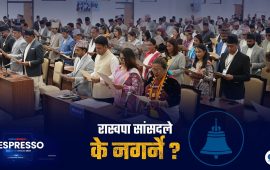 मन्त्रालयमा सघाउन नजानुस्, ढ्यापढ्यापे सांसद नबन्नुस्