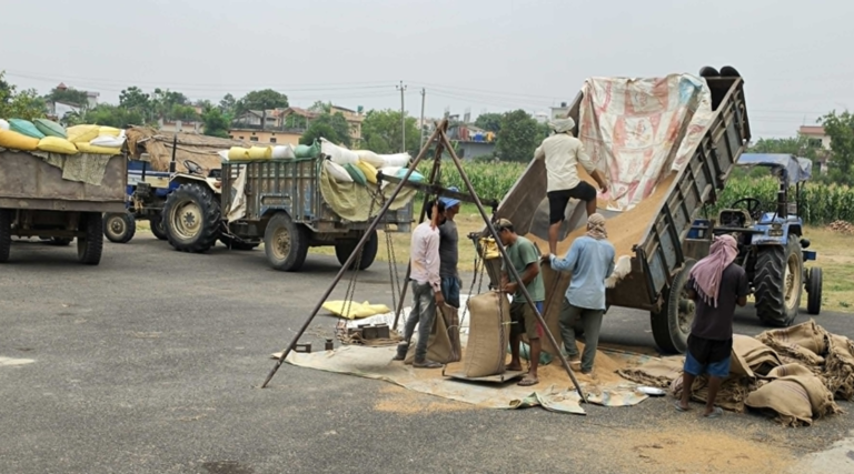 समर्थन मूल्यभन्दा बढीमा गहुँ बेच्न पाउँदा किसान खुसी