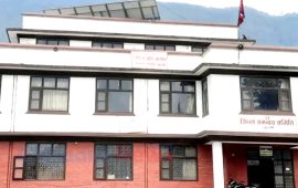 गुल्मीमा बादर-बनेल आतंक : जनप्रतिनिधिबीच बस्ती नै सार्ने विकल्पमा छलफल