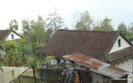 लोप हुँदै झिँगटीको छाना