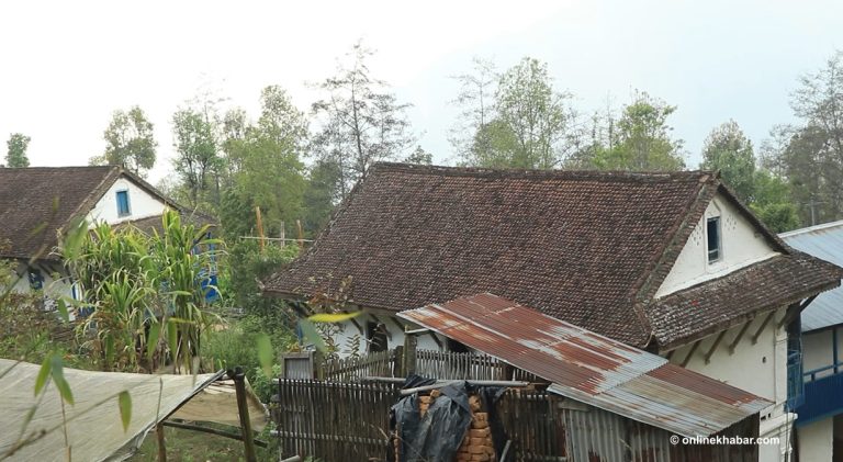 लोप हुँदै झिँगटीको छाना