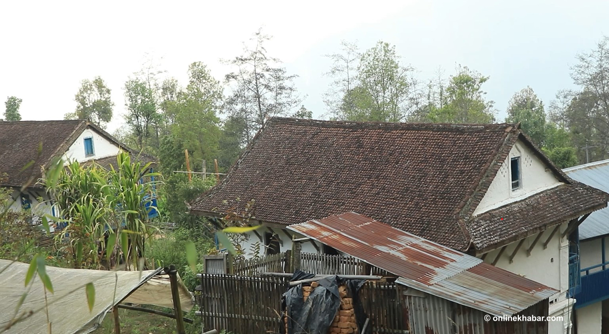 लोप हुँदै झिँगटीको छाना