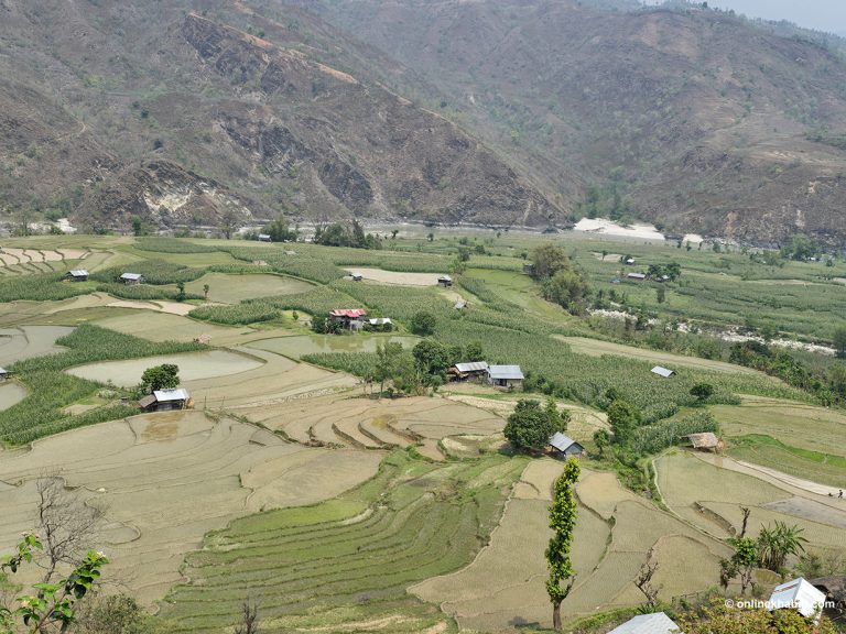 अरुण नदी किनारको सुन्दर उर्वरभूमि (तस्वीरहरू)