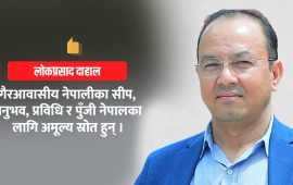 एनआरएन नागरिकता: सधैँ अपूरो प्रतिबद्धता