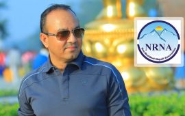 डायस्पोरा बन्ड ल्याउने सरकारी योजनाले एनआरएनमा उत्साह थप्यो: उपाध्यक्ष दाहाल