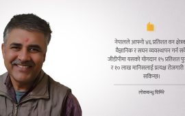 वनको सही व्यवस्थापनले दिन सक्छ १० लाख रोजगारी