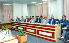 प्रधानमन्त्रीलाई स्याङ्जा–२ का सांसद झविलालले गराए यी विषयमा ध्यानाकर्षण