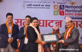 अनलाइनखबरकर्मी काफ्ले सम्मानित