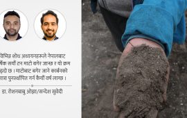 नयाँ सरकारलाई माटोमा कार्बन बढाउने चुनौती