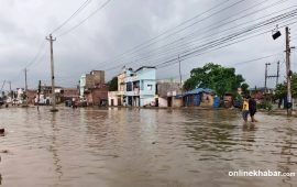 सामान्य वर्षामै सिरहाको लक्ष्मीचोक क्षेत्र जलमग्न