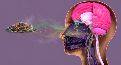 दुर्गन्धले स्वास्थ्यमा कस्तो असर पार्छ ?