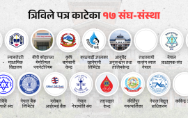 प्राध्यापक र कर्मचारीका तीन संस्थाले त्रिविलाई फिर्ता गरे जग्गा, १४ वटाले टेरेनन्