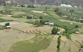 अरुण नदी किनारको सुन्दर उर्वरभूमि (तस्वीरहरू)