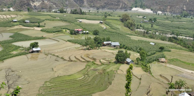 अरुण नदी किनारको सुन्दर उर्वरभूमि (तस्वीरहरू)