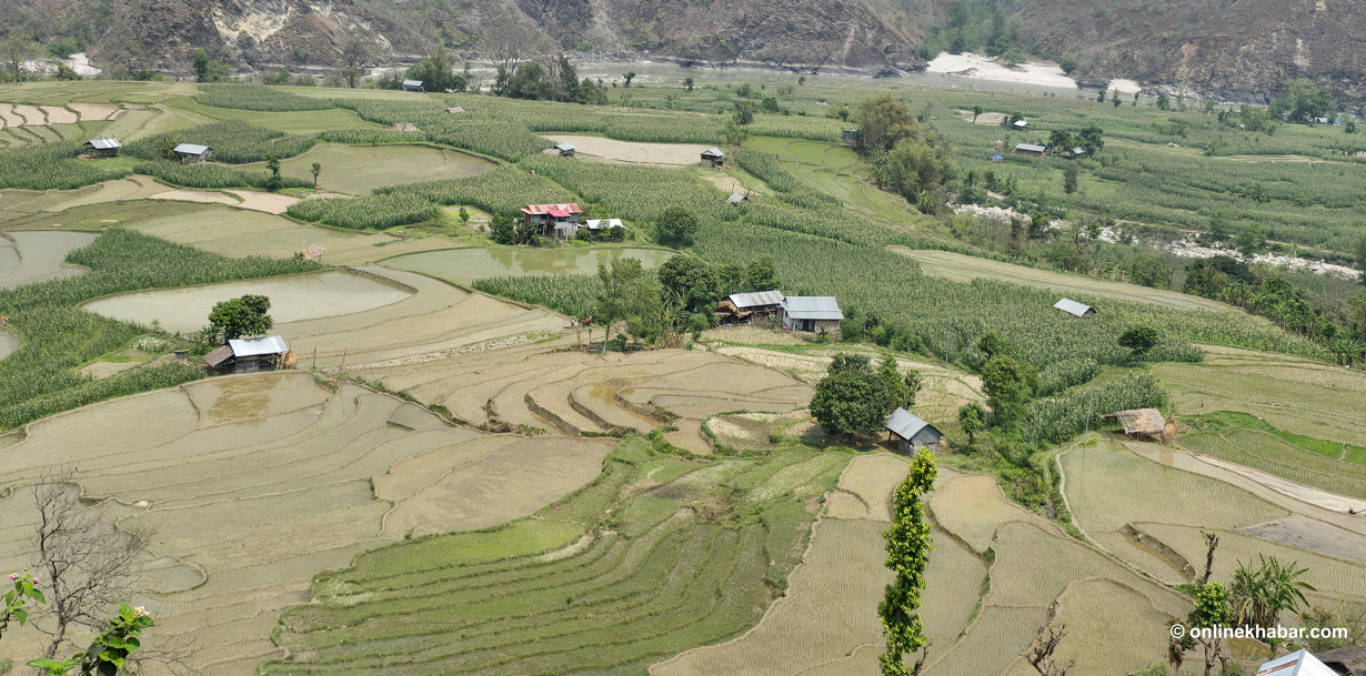 अरुण नदी किनारको सुन्दर उर्वरभूमि (तस्वीरहरू)