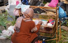 आमाको माया …