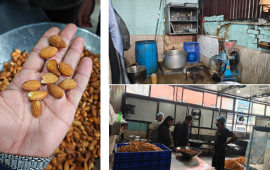 बागमती स्वीट्सको मिठाइमा किरा परेको बदाम प्रयोग, उत्पादन र बिक्रीमा पूर्ण रोक