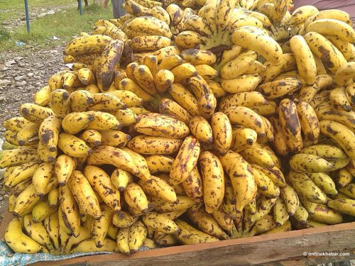 किसानले ५० रूपैयाँ दर्जनमा बेच्ने केरा उपभोक्तालाई ३०० !