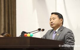 ०६४ को बहुमत सदुपयोग गर्न सकेनौं : वर्षमान पुन