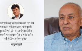 प्राध्यापक मिश्र : जेनजीलाई जरा हामीले दिन सकेनौं