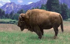 विज्ञान विषय पढ्न र पढाउन गाह्रो हुन्छ ? हेर्नुहोस् यी वेबसाइट