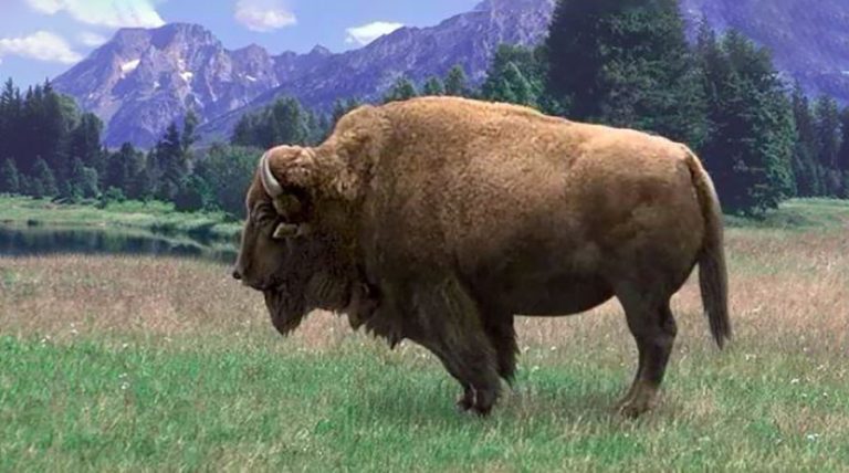 विज्ञान विषय पढ्न र पढाउन गाह्रो हुन्छ ? हेर्नुहोस् यी वेबसाइट