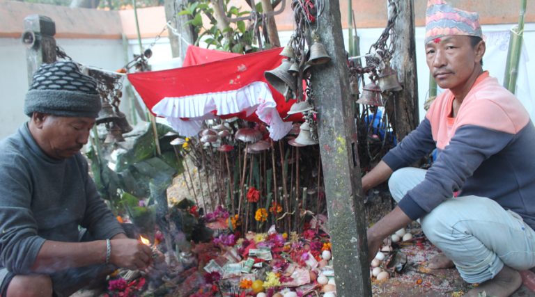 धनकुटाका आठपहरिया समुदायमा बिसु चाडको रौनक