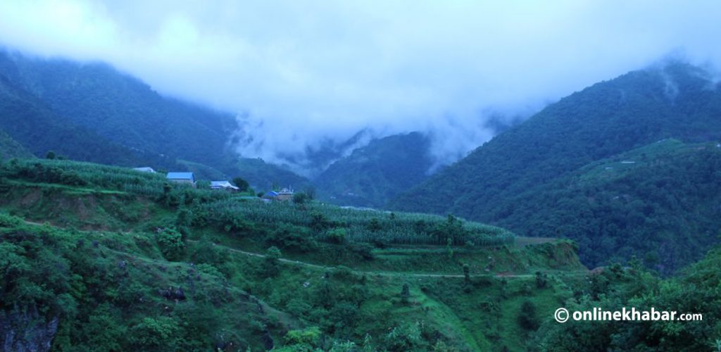 बुढीचौरमा सिताके च्याउको सपना ब्युँतिँदै, गाउँपालिकाको भरपुर सहयोग