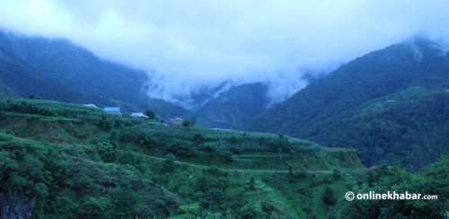 बुढीचौरमा सिताके च्याउको सपना ब्युँतिँदै, गाउँपालिकाको भरपुर सहयोग