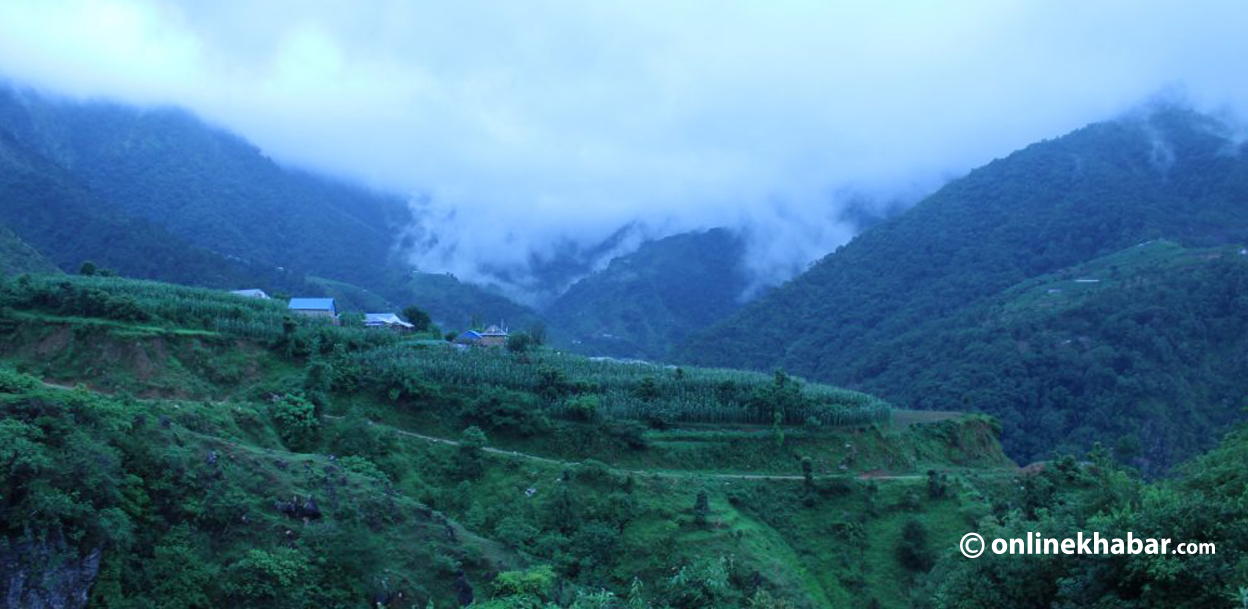 बुढीचौरमा सिताके च्याउको सपना ब्युँतिँदै, गाउँपालिकाको भरपुर सहयोग