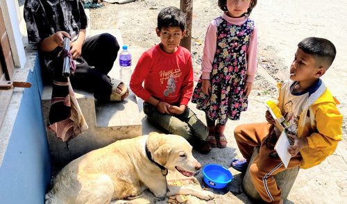 मर्मस्पर्शी, जहाँ सक्त घाइते कुकुरलाई बालबालिकाले पहरा दिएर बचाउन सघाए