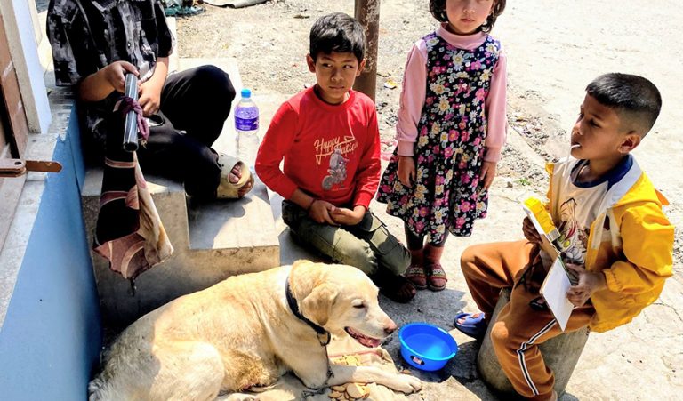 मर्मस्पर्शी, जहाँ सक्त घाइते कुकुरलाई बालबालिकाले पहरा दिएर बचाउन सघाए