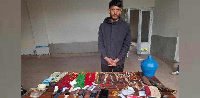 ३७ पटक मुद्दा चलेका व्यक्ति चोरी आरोपमा पक्राउ