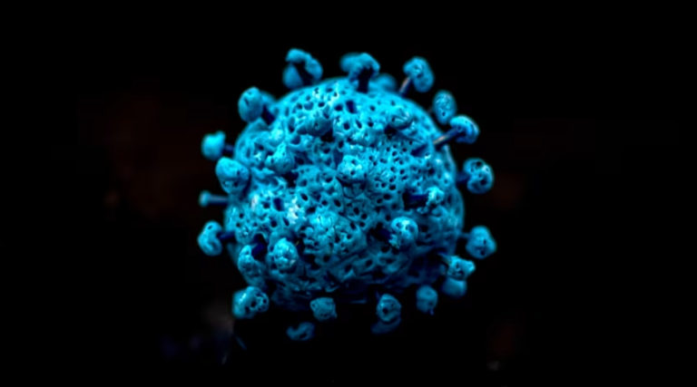 कोभिड-१९ को नयाँ भेरियन्ट ‘सिकाडा’ : बच्चामा तीव्र संक्रमण, जोखिम कम