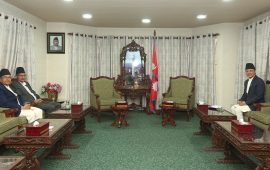 पूर्वसभामुखहरूसँग छलफलमा सभामुख अर्याल