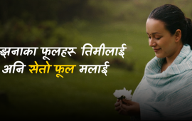 चर्चामा छ गीत, गुमनाम छन् गायक