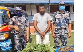 १९ किलो गाँजासहित युवक पक्राउ