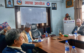 भाषाका सवालमा संविधानका धाराहरू बाझिएकाले संशोधन आवश्यक : भाषा विज्ञ ठाकुर