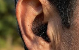 कानमा रौं हुनुले के-के गर्छ ? समुद्र शास्त्रको यस्तो व्याख्या