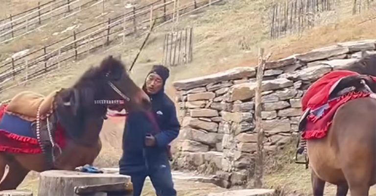 घोडामाथि अमानवीय कुटपिट : भिडियो भाइरल भएपछि दोषी पक्राउ